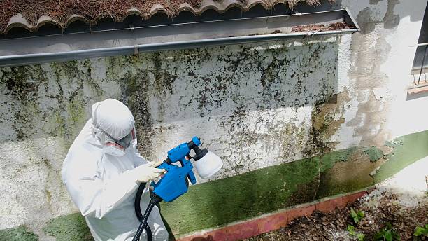 Top rated local Commercial Mold Remediation specialists in Cherry Hill, VA